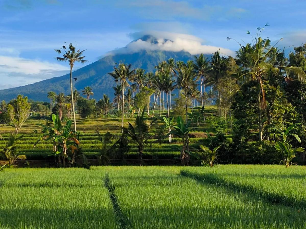 Hotel Sawah Ijen Licin Exterior foto