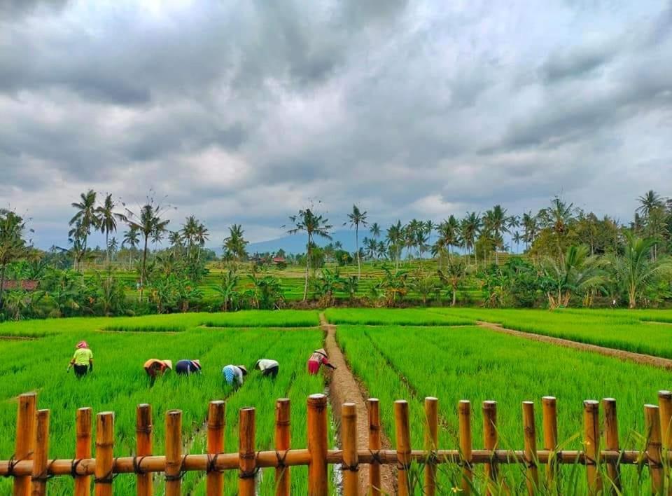 Hotel Sawah Ijen Licin Exterior foto